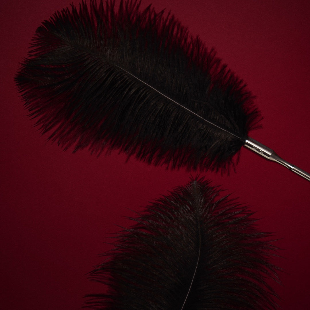 OSUGA Adult Sexy Feather Stick, 13.8 Black Ostrich Feather Teasing Toys, Romantic Feather Stick with Exquisite Copper Handle