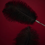 OSUGA Adult Sexy Feather Stick, 13.8 Black Ostrich Feather Teasing Toys, Romantic Feather Stick with Exquisite Copper Handle