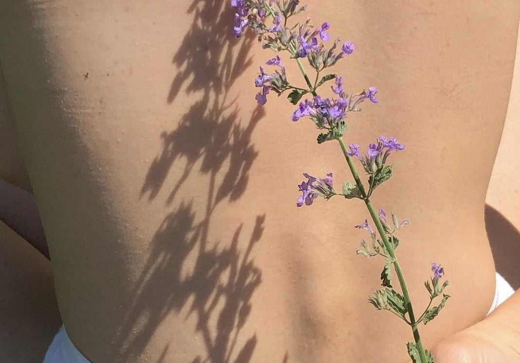The Science of Sensuality-How Pleasure Impacts You Physically, Mentally, and Emotionally