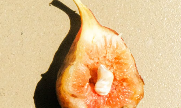 Do-Women-Like-Oral-Sex OSUGA