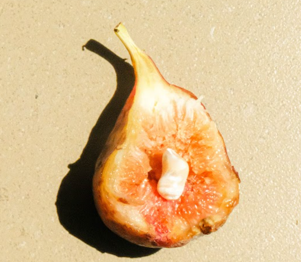 Do-Women-Like-Oral-Sex OSUGA