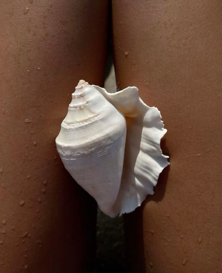 Oral Sex in the Bible Truth and Meaning