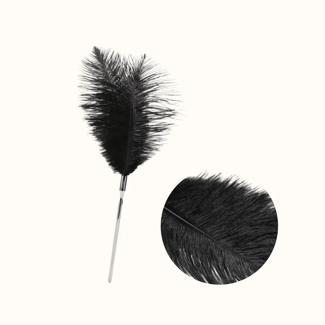 OSUGA BDSM Feather Ticklers Teasers