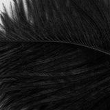 13.8" Sexy Feather Stick