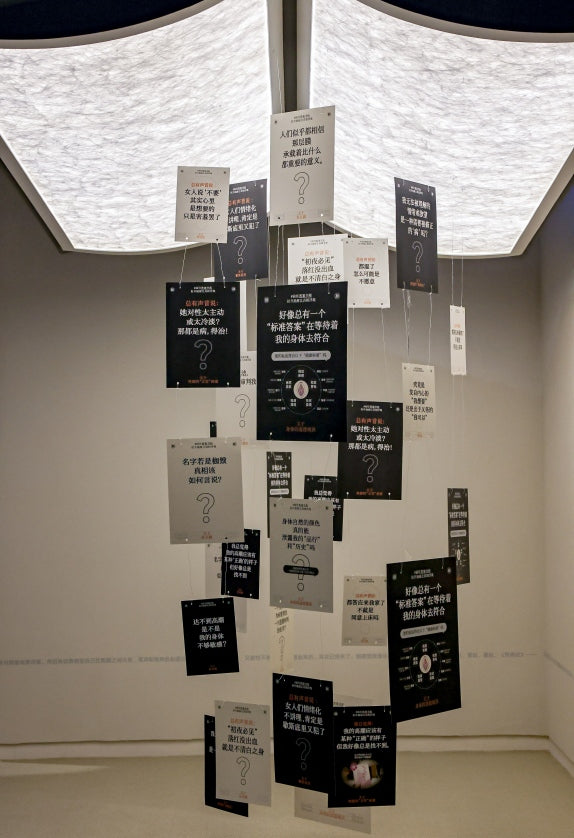 2025 Museum of Sexual Culture